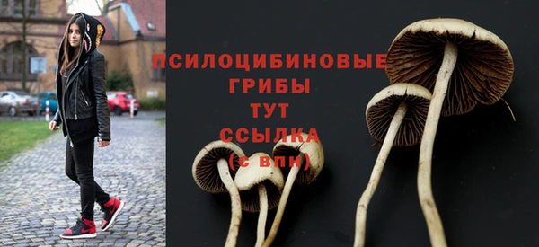 меф Осташков