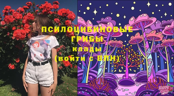 меф Осташков