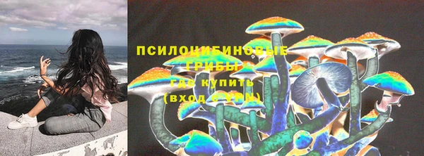 меф Осташков