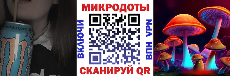 что такое Рыльск Галлюциногенные грибы Psilocybe